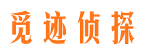 九台市调查公司